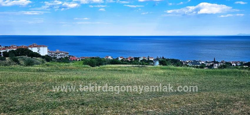 Для продажи Земля в Barbaros Süleymanpaşa Kumbağ - Под Жилье застройку - 6.100 m²