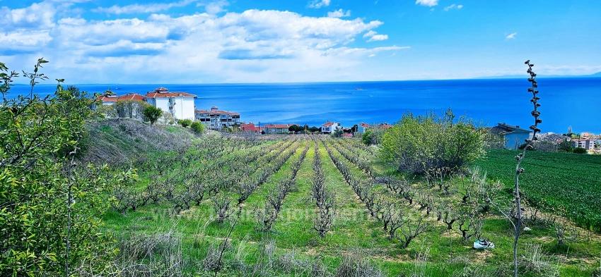 15 Роскошных Вилл С Уникальным Видом На Море И Природу, Расположенных В Подходящем Для Проекта Районе.