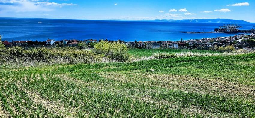 15 Роскошных Вилл С Уникальным Видом На Море И Природу, Расположенных В Подходящем Для Проекта Районе.