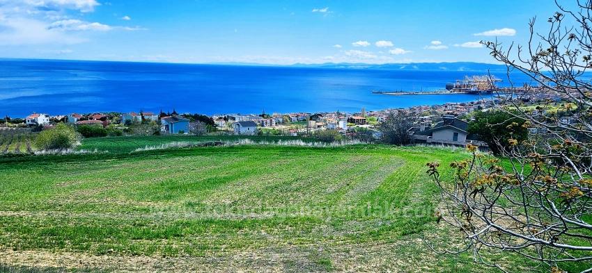 45 Апартаментов 2+1 С Уникальным Панорамным Видом На Море И Природу, Подходящие Для Совместных Проектов