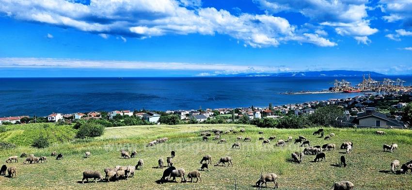 45 Апартаментов 2+1 С Уникальным Панорамным Видом На Море И Природу, Подходящие Для Совместных Проектов