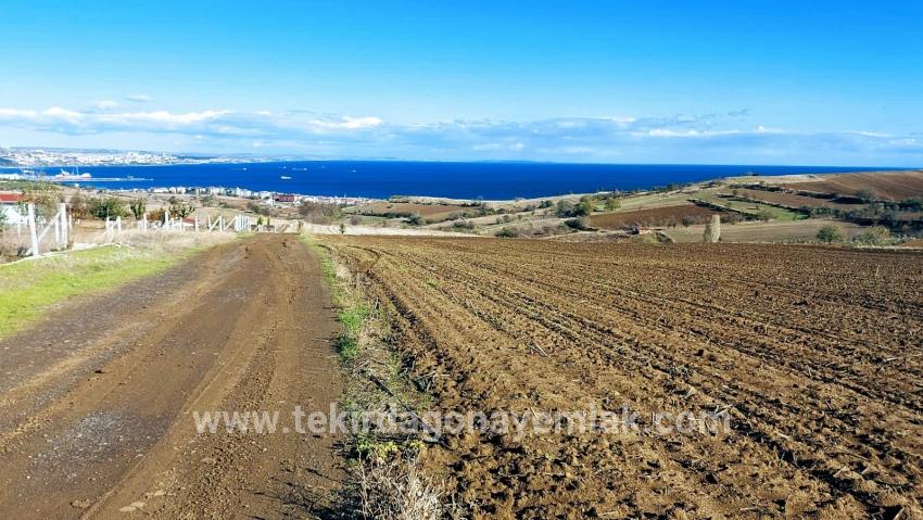Для продажи Земля в Barbaros Süleymanpaşa Kumbağ - Под Вилла застройку - 6.350 m²