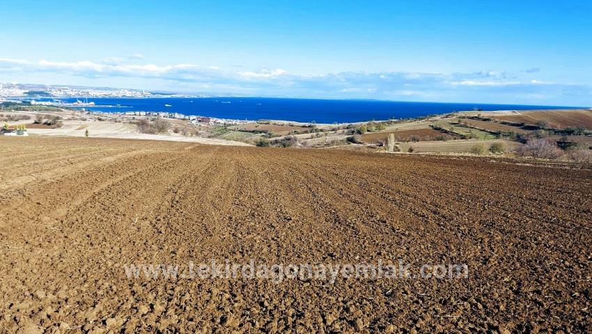 Для продажи Земля в Barbaros Süleymanpaşa Kumbağ - Под Вилла застройку - 6.350 m²