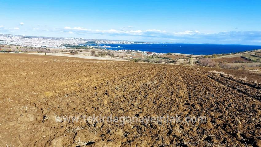 Для продажи Земля в Barbaros Süleymanpaşa Kumbağ - Под Вилла застройку - 6.350 m²