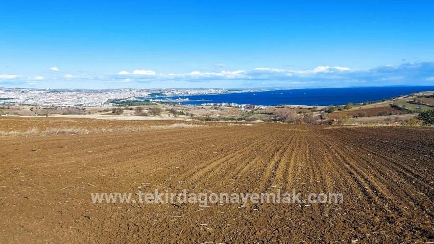 Для продажи Земля в Barbaros Süleymanpaşa Kumbağ - Под Вилла застройку - 6.350 m²