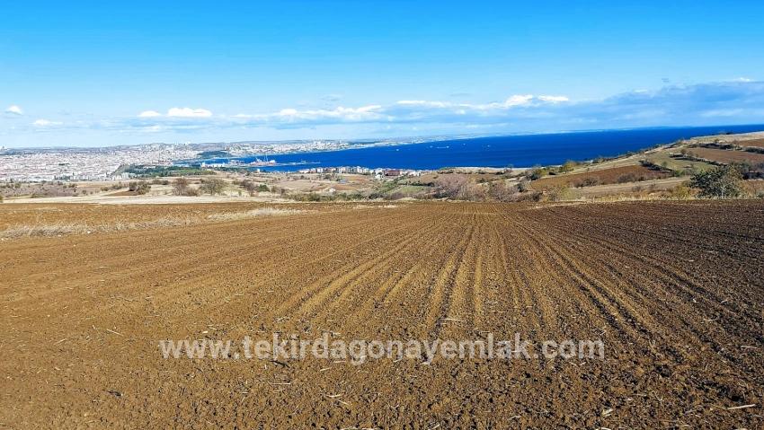 Для продажи Земля в Barbaros Süleymanpaşa Kumbağ - Под Вилла застройку - 6.350 m²