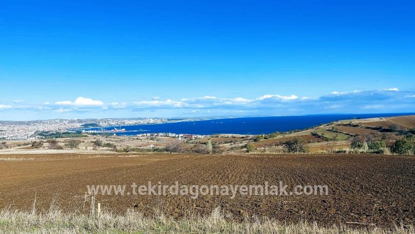 Для продажи Земля в Barbaros Süleymanpaşa Kumbağ - Под Вилла застройку - 6.350 m²
