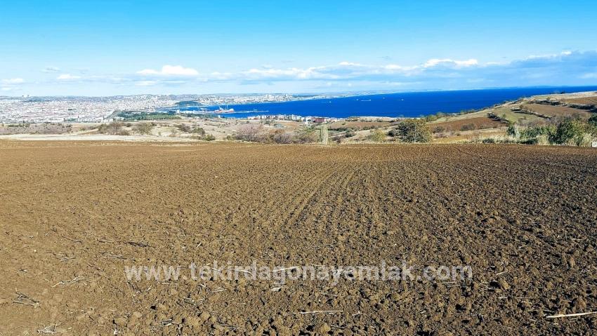 Для продажи Земля в Barbaros Süleymanpaşa Kumbağ - Под Вилла застройку - 6.350 m²