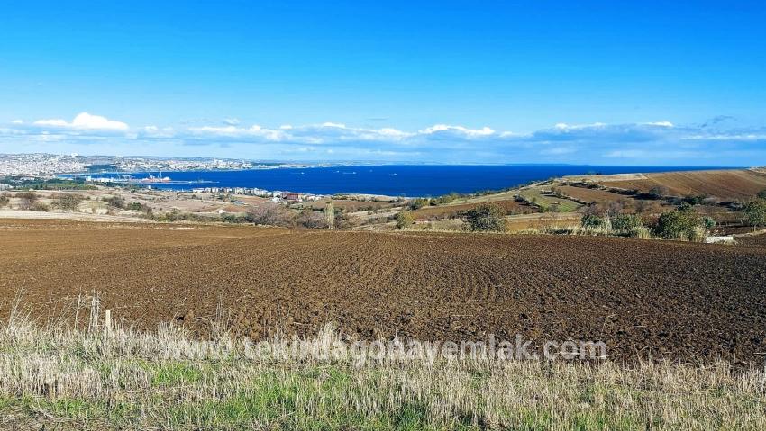 Для продажи Земля в Barbaros Süleymanpaşa Kumbağ - Под Вилла застройку - 6.350 m²