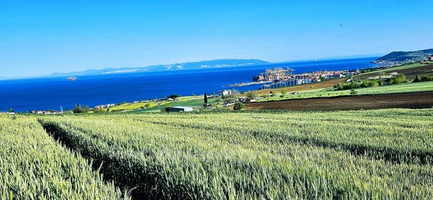 Земля Подходит Для Кооперативных И Строительных Проектов С 50 Квартирами И Панорамным Видом На Море И Природу.