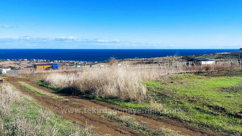 32 Роскошные Виллы С Великолепным Видом На Море, Природу И Город, Земельные Участки, Подходящие Для Проекта