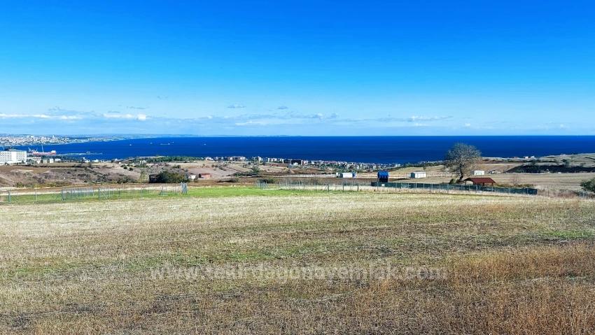 Подайте Заявку На Проект Роскошной Виллы С Почасовой Оплатой, Обеспечьте Высокий Доход, Полный Вид На Море И Природу