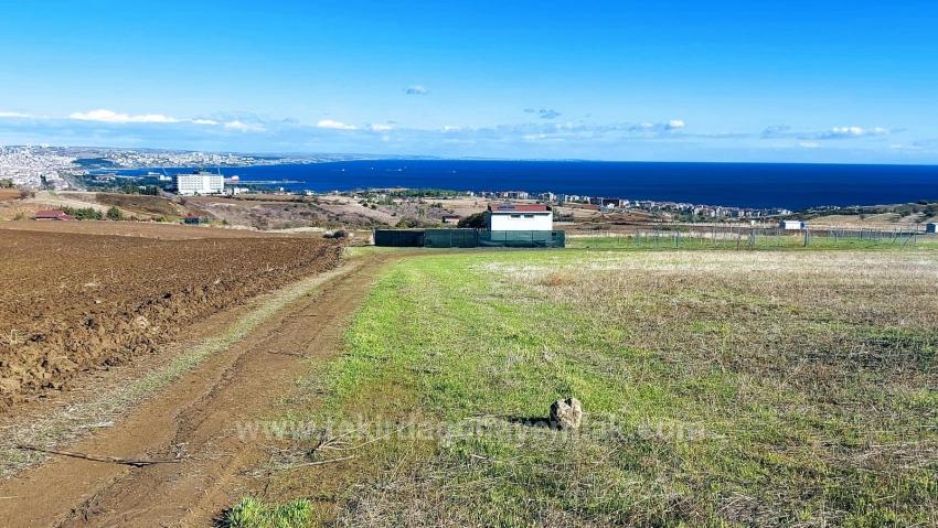 Подайте Заявку На Проект Роскошной Виллы С Почасовой Оплатой, Обеспечьте Высокий Доход, Полный Вид На Море И Природу