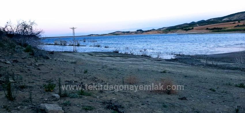 Срочно Продается Отдельный Участок Земли С Правом Собственности, Расположенный Напротив Плотины.