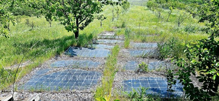 *Бартер+Наличные* Постройте Ферму С Государственной Поддержкой* Производите И Выращивайте* Обеспечьте Свое Будущее*