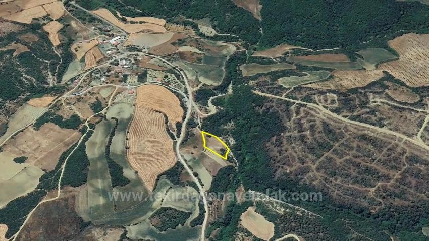 Отдельный Участок, Право Собственности Единоличное, Не Поделено, Очень Близко К Границе Населённого Пункта, Срочная Продажа, Поиск Возможностей