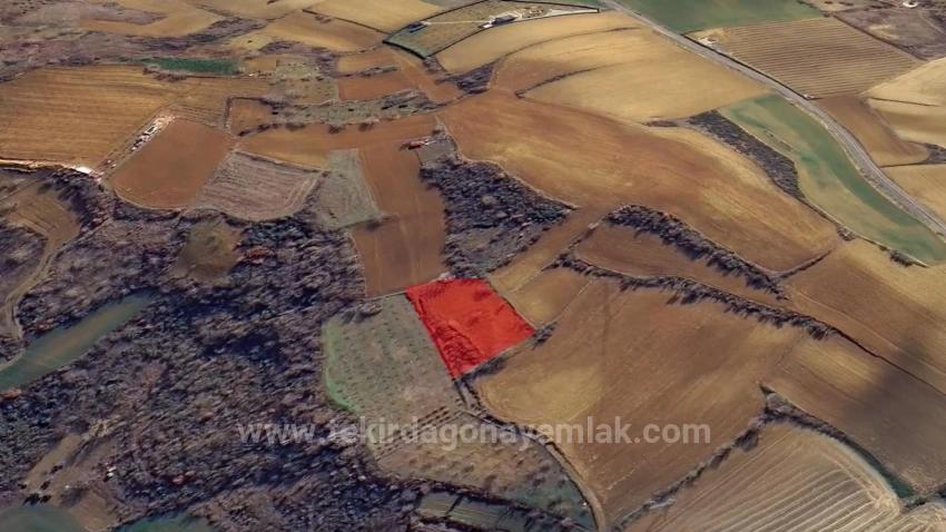 Инвестиционная Возможность: Гарантированно Высокая Прибыль В Краткосрочной Перспективе Для Тех, Кто Хочет Купить И Продать