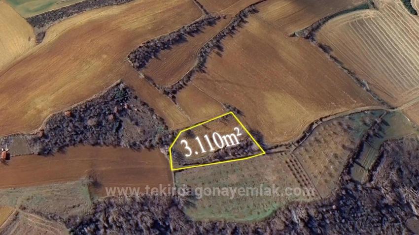 Инвестиционная Возможность: Гарантированно Высокая Прибыль В Краткосрочной Перспективе Для Тех, Кто Хочет Купить И Продать