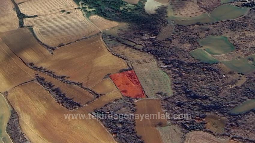 Инвестиционная Возможность: Гарантированно Высокая Прибыль В Краткосрочной Перспективе Для Тех, Кто Хочет Купить И Продать