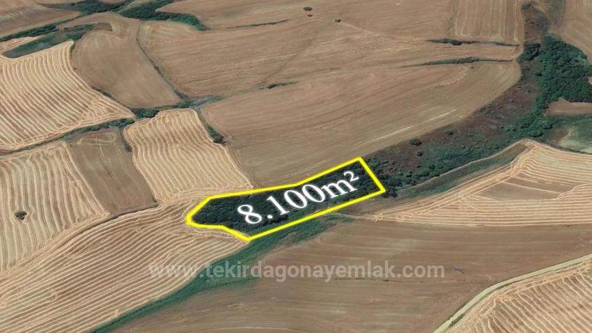 Для Продажи Поле в Oruçbeyli Süleymanpaşa - Под Поле застройку - 8.100 m²