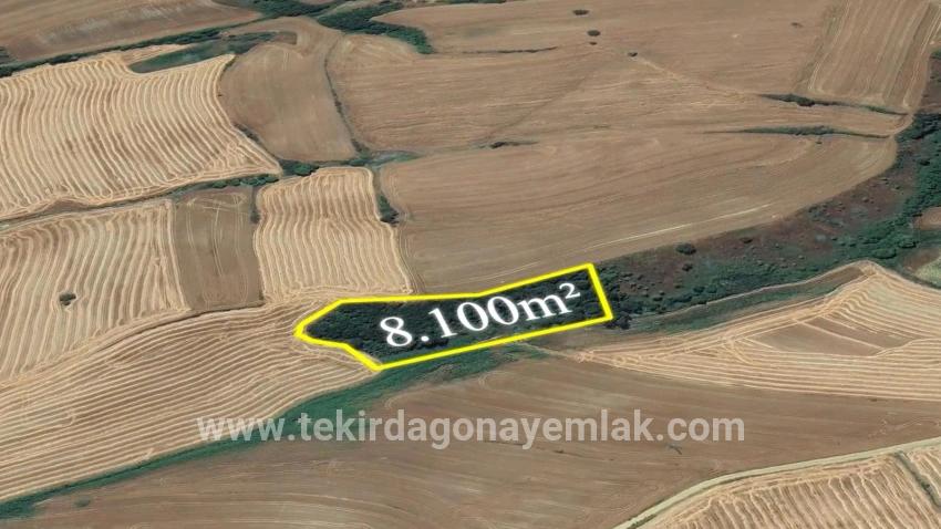 Для продажи Поле в Oruçbeyli Süleymanpaşa - Под Поле застройку - 8.100 m²