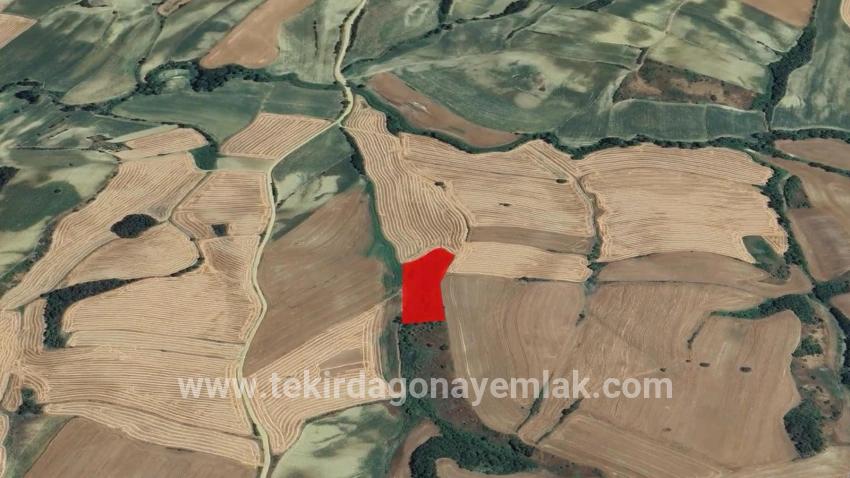 Для продажи Поле в Oruçbeyli Süleymanpaşa - Под Поле застройку - 8.100 m²