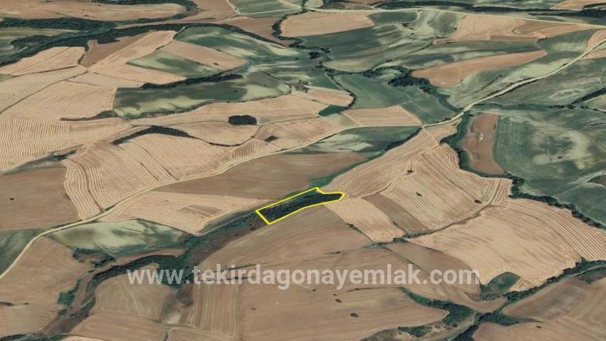 Для продажи Поле в Oruçbeyli Süleymanpaşa - Под Поле застройку - 8.100 m²