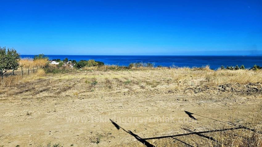 Участок Земли С Панорамным Видом На Море Для Строительства Отдельно Стоящего Дома Вашей Мечты