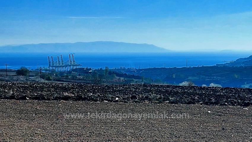 Оптимальный Участок Земли В Районе Фабрик С Высокой Краткосрочной Прибылью