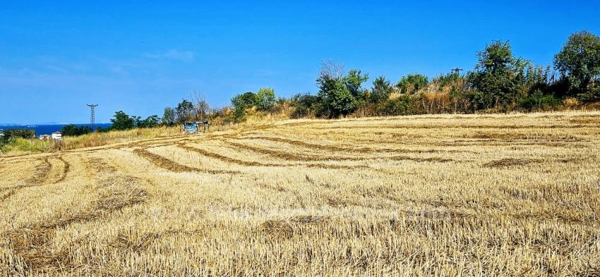 Угловой Участок Площадью 615 М2 По Выгодной Цене, Недалеко От Асиапорта