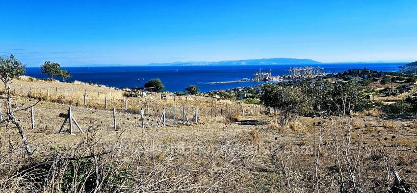 Гарантия Высокой Прибыли Для Тех, Кто Хочет Купить Или Продать. Срочная Продажа Из-За Необходимости В Наличных Деньгах.