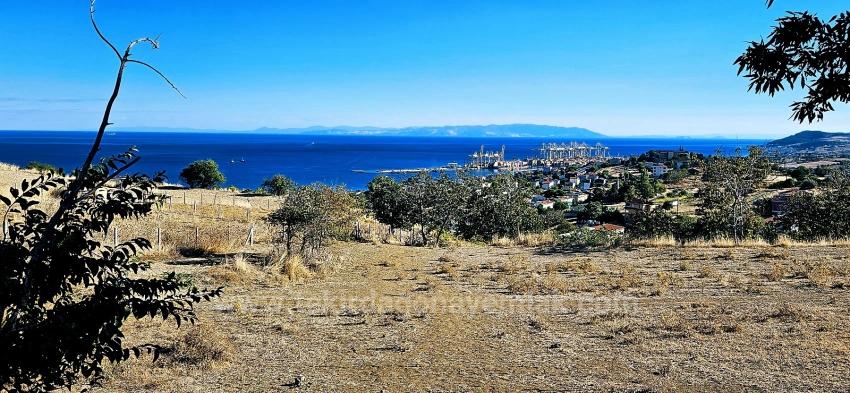 Гарантия Высокой Прибыли Для Тех, Кто Хочет Купить Или Продать. Срочная Продажа Из-За Необходимости В Наличных Деньгах.