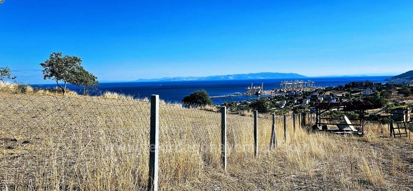 Гарантия Высокой Прибыли Для Тех, Кто Хочет Купить Или Продать. Срочная Продажа Из-За Необходимости В Наличных Деньгах.