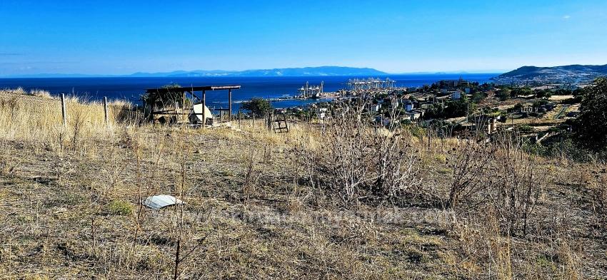 Гарантия Высокой Прибыли Для Тех, Кто Хочет Купить Или Продать. Срочная Продажа Из-За Необходимости В Наличных Деньгах.