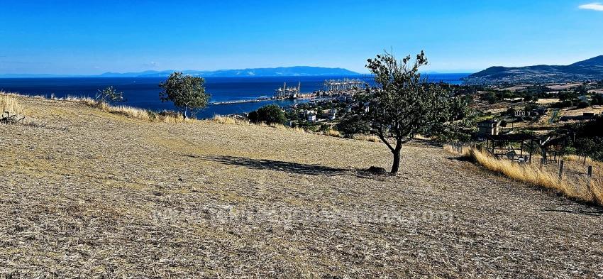 Гарантия Высокой Прибыли Для Тех, Кто Хочет Купить Или Продать. Срочная Продажа Из-За Необходимости В Наличных Деньгах.