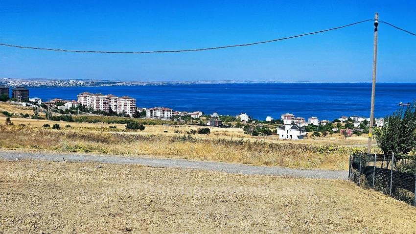 Для Продажи Сюжет в Barbaros Süleymanpaşa Kumbağ - Под Жилье застройку - 580 m²