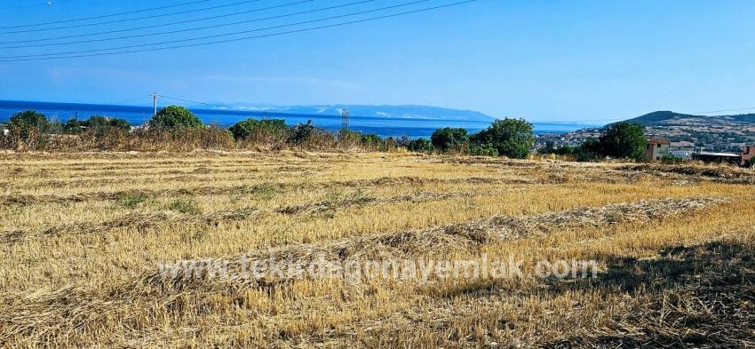 Для продажи Поле в Barbaros Süleymanpaşa Kumbağ - Под Жилье застройку - 8.500 m²