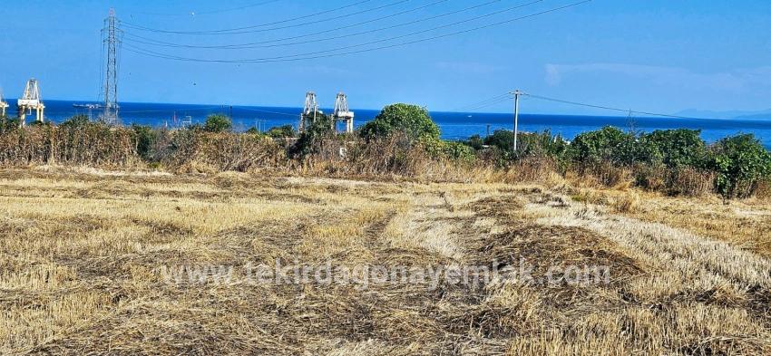 Для продажи Поле в Barbaros Süleymanpaşa Kumbağ - Под Жилье застройку - 8.500 m²