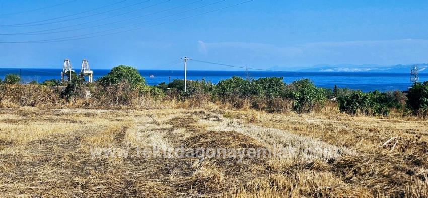 Для продажи Поле в Barbaros Süleymanpaşa Kumbağ - Под Жилье застройку - 8.500 m²