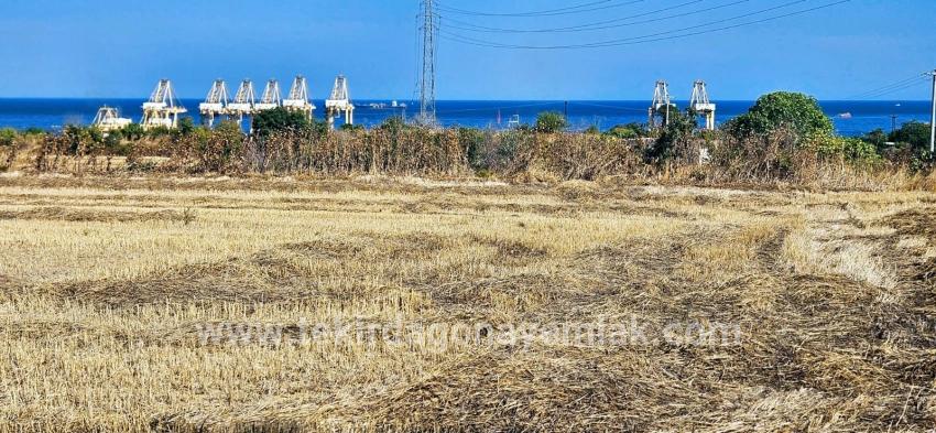 Для продажи Поле в Barbaros Süleymanpaşa Kumbağ - Под Жилье застройку - 8.500 m²