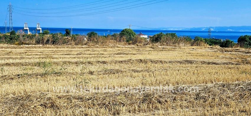 Для продажи Поле в Barbaros Süleymanpaşa Kumbağ - Под Жилье застройку - 8.500 m²
