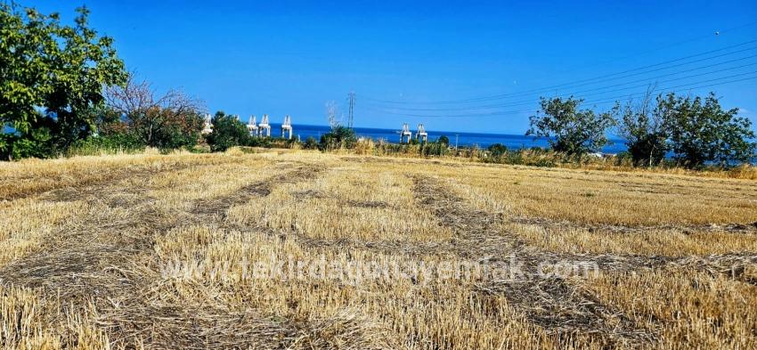 Для продажи Поле в Barbaros Süleymanpaşa Kumbağ - Под Жилье застройку - 8.500 m²