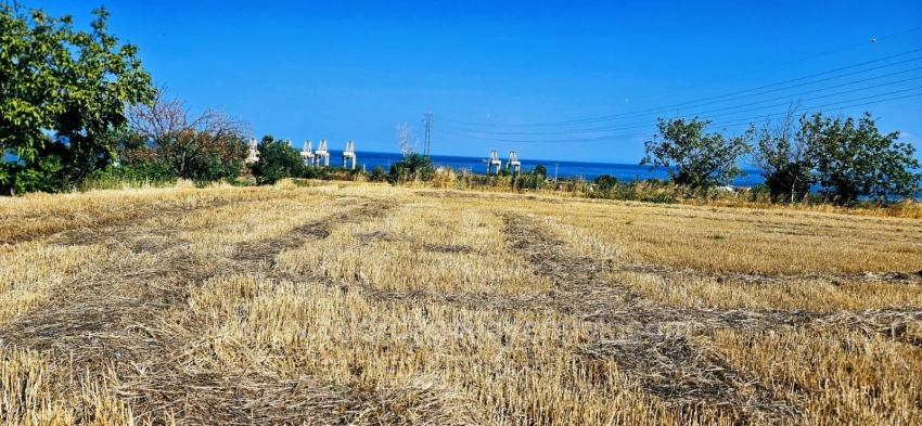 Жилой Участок Площадью 8500 М2 С Перспективой Высокой Прибыли, Недалеко От Порта Асяпорт