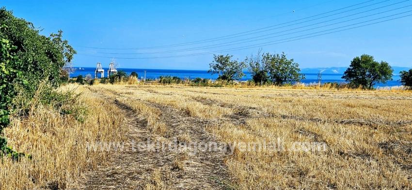 Для продажи Поле в Barbaros Süleymanpaşa Kumbağ - Под Жилье застройку - 8.500 m²