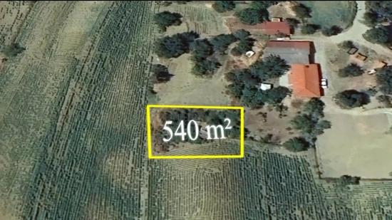 Срочная Продажа: Уникальная Возможность Для Тех, Кто Мечтает О Загородном Доме — Выгодное Предложение! Земельный Участок.