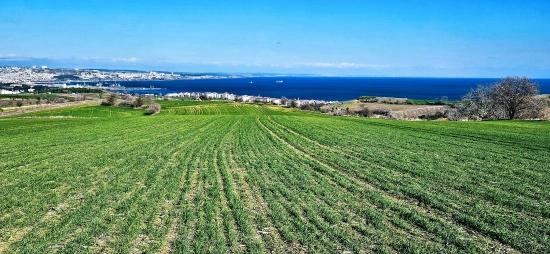 Участок С Панорамным Видом На Море И Природу, Подходящий Для Строительства 75 Вилл В Текирдаге Барбароста