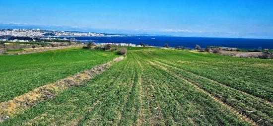 Участок С Панорамным Видом На Море И Природу, Подходящий Для Строительства 75 Вилл В Текирдаге Барбароста