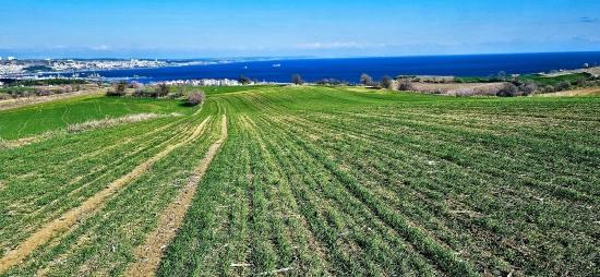 Участок С Панорамным Видом На Море И Природу, Подходящий Для Строительства 75 Вилл В Текирдаге Барбароста
