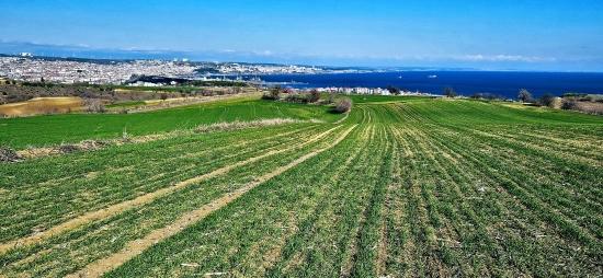 Участок С Панорамным Видом На Море И Природу, Подходящий Для Строительства 75 Вилл В Текирдаге Барбароста