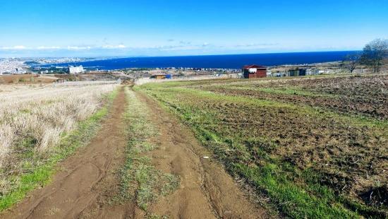 32 Роскошные Виллы С Великолепным Видом На Море, Природу И Город, Земельные Участки, Подходящие Для Проекта